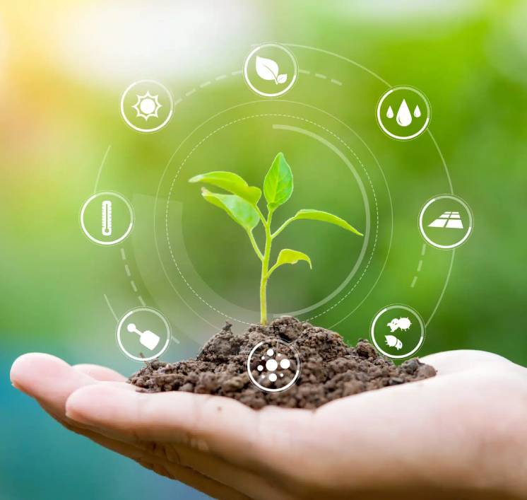 Agriculture